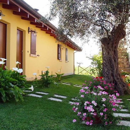 Agriturismo Tenuta Santa Maria Notaresco Εξωτερικό φωτογραφία