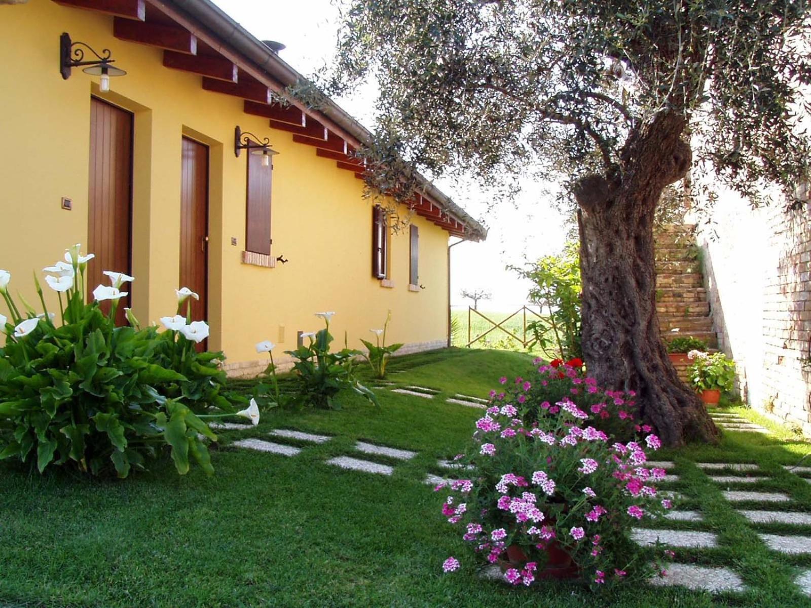 Agriturismo Tenuta Santa Maria Notaresco Εξωτερικό φωτογραφία