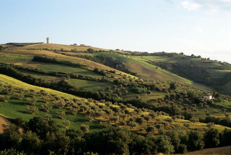 Agriturismo Tenuta Santa Maria Notaresco Εξωτερικό φωτογραφία