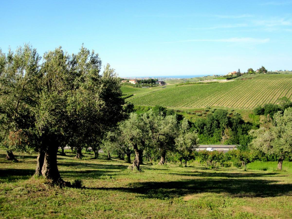 Agriturismo Tenuta Santa Maria Notaresco Εξωτερικό φωτογραφία